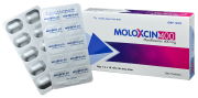 Moloxcin 400 - 900x600